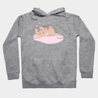 Cinnamon Oriental Shorthair Cat - Anime Aesthetic Cute Kitten Hoodie